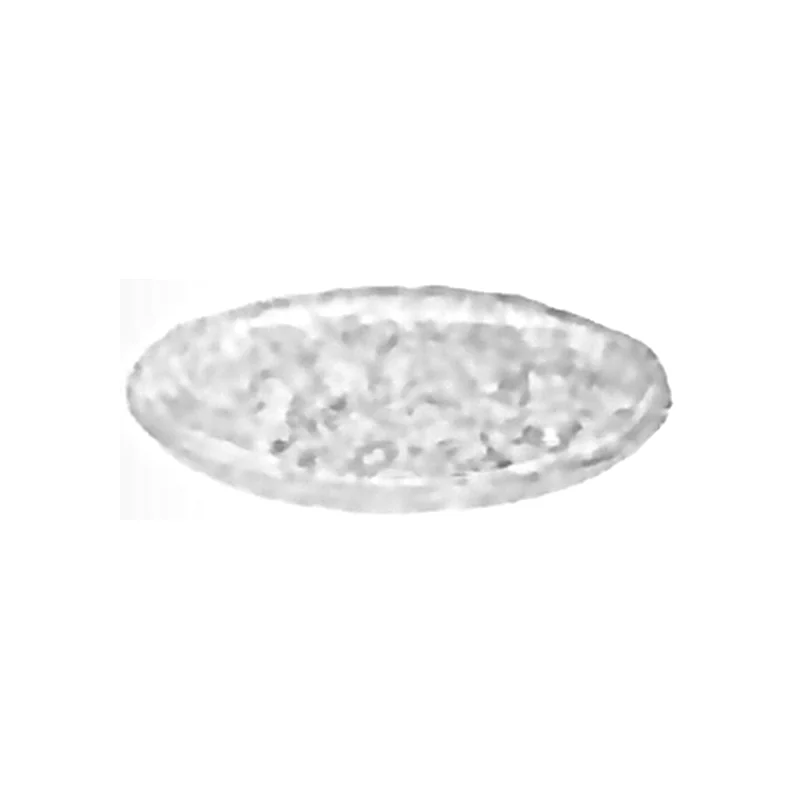 Plate — 267 mm