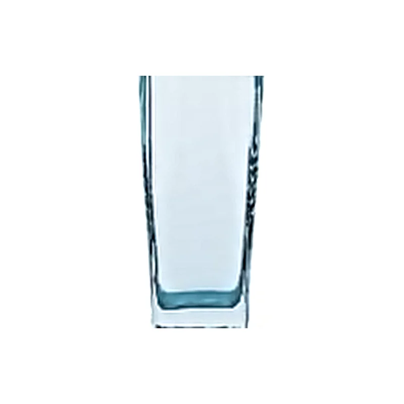 LP Frosted Blown Tumbler — 315 ml